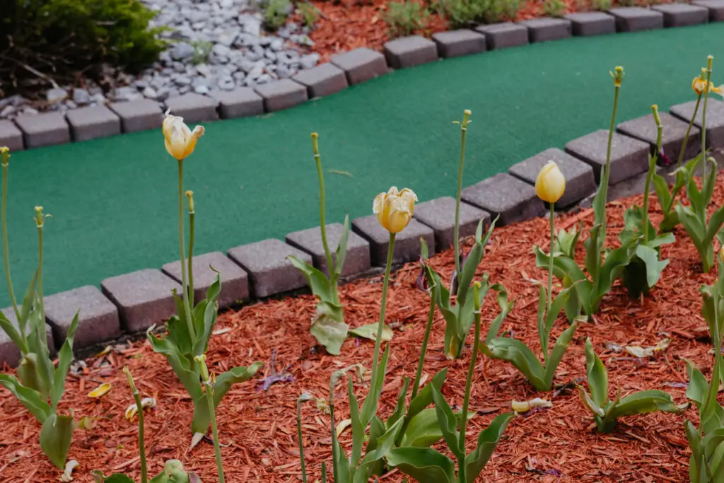 Flowers and landscaped greenery surrounding the mini golf course at Buoy 18 in Bay City, Michigan.